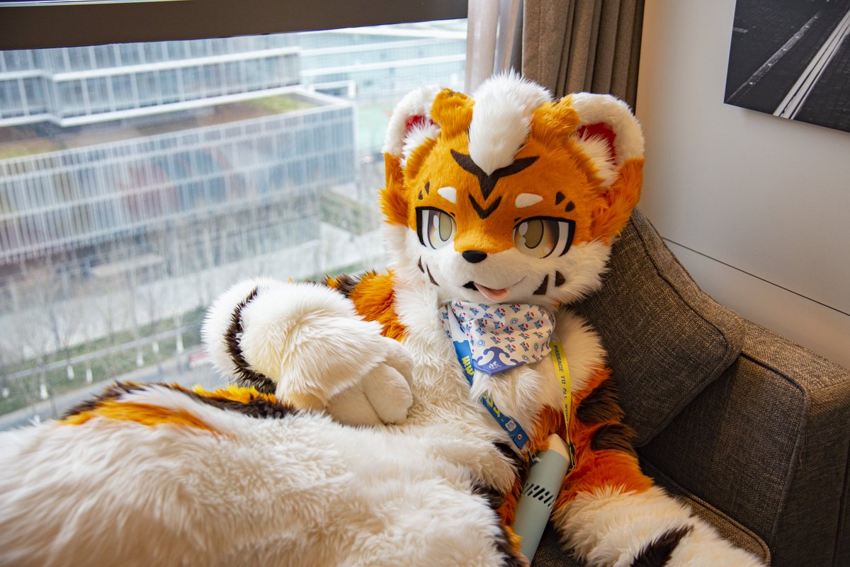 baicai_coin's tweet image. 图一：努力锻炼！
图二：摆了w
#FursuitFriday
毛替：@FoxKohaku