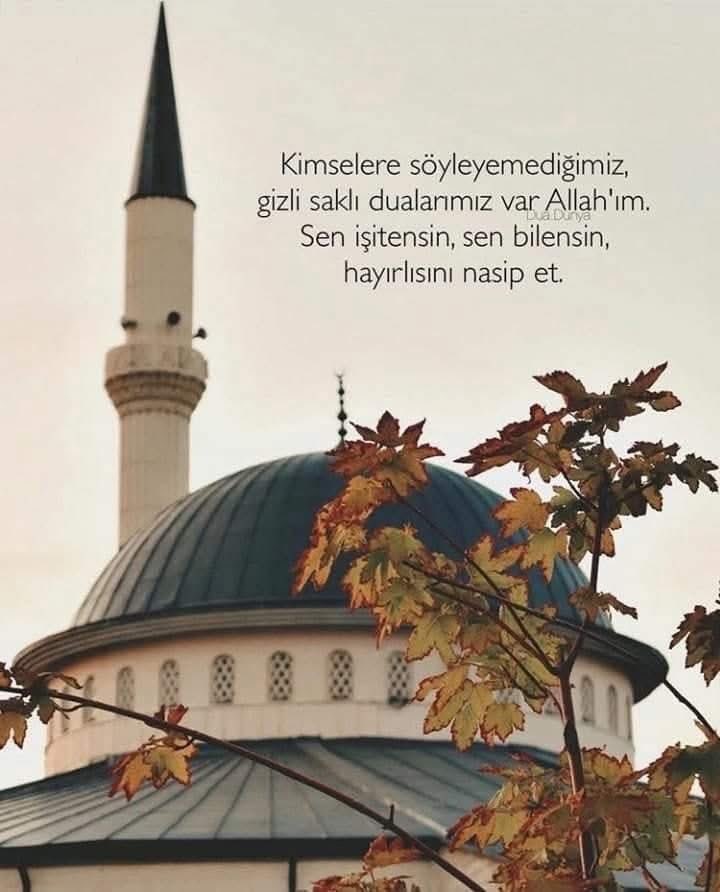 Bir Cuma daha araladı Ömrümüzün kapısını..
Bir Cuma daha yaklaştık kıyamete..

YA RABBi,
Geçmiş için lüzumsuz üzülmekten, gelecek için manasız kaygılanmaktan bizi muhafaza eyle.

Bu günümüzü dünlerin hüzünlerine ve yarının endişelerine  gâlip getirme
Âmin..🤲🏼 

Hayırlı Cumalar 🌹