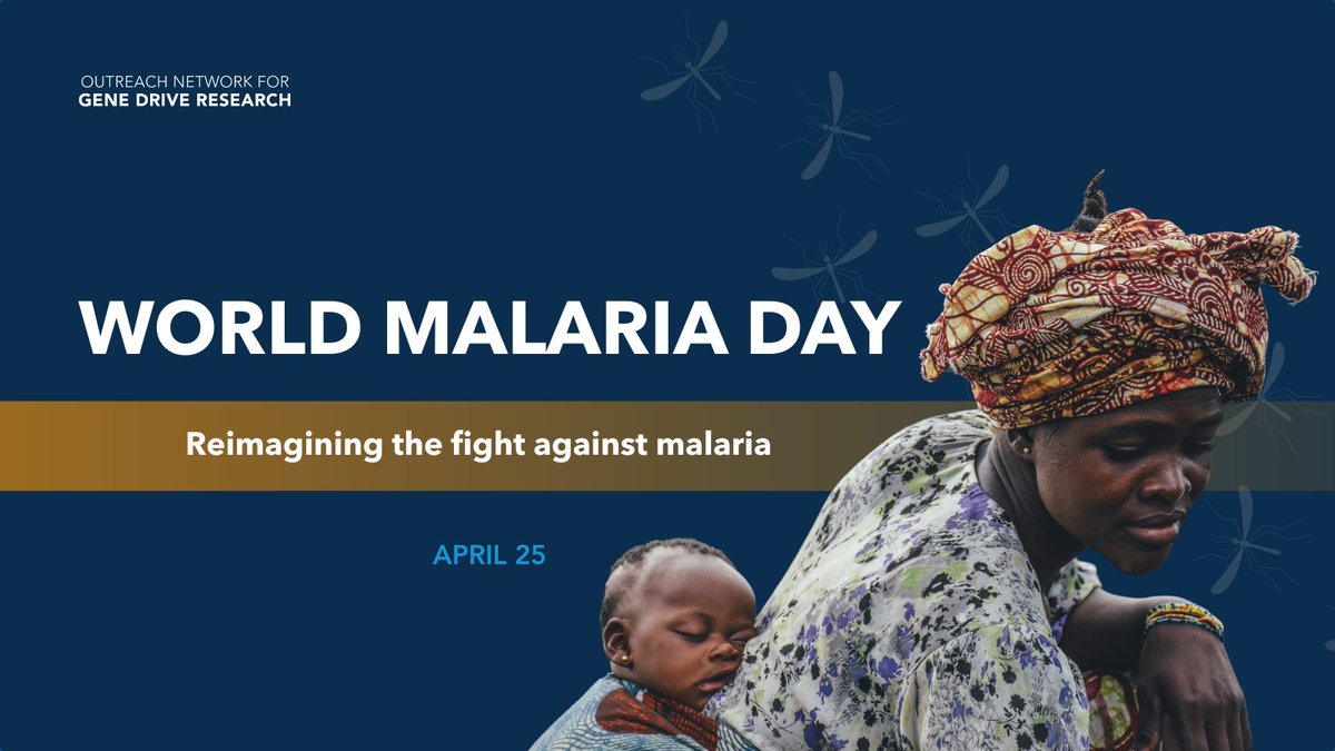 Outreach Network for Gene Drive Research (@genedrivenet) on Twitter photo It’s time to reimagine the fight against malaria🦟
Stay tuned for our #WorldMalariaDay campaign next week highlighting challenges threatening progress against the disease and innovations that could drive change.
#WMD2025 #MalariaEndsWithUs
<a href="/endmalaria/">RBM Partnership</a> <a href="/WHO/">World Health Organization (WHO)</a> It’s time to reimagine the fight against malaria🦟
Stay tuned for our #WorldMalariaDay campaign next week highlighting challenges threatening progress against the disease and innovations that could drive change.
#WMD2025 #MalariaEndsWithUs
<a href="/endmalaria/">RBM Partnership</a> <a href="/WHO/">World Health Organization (WHO)</a>