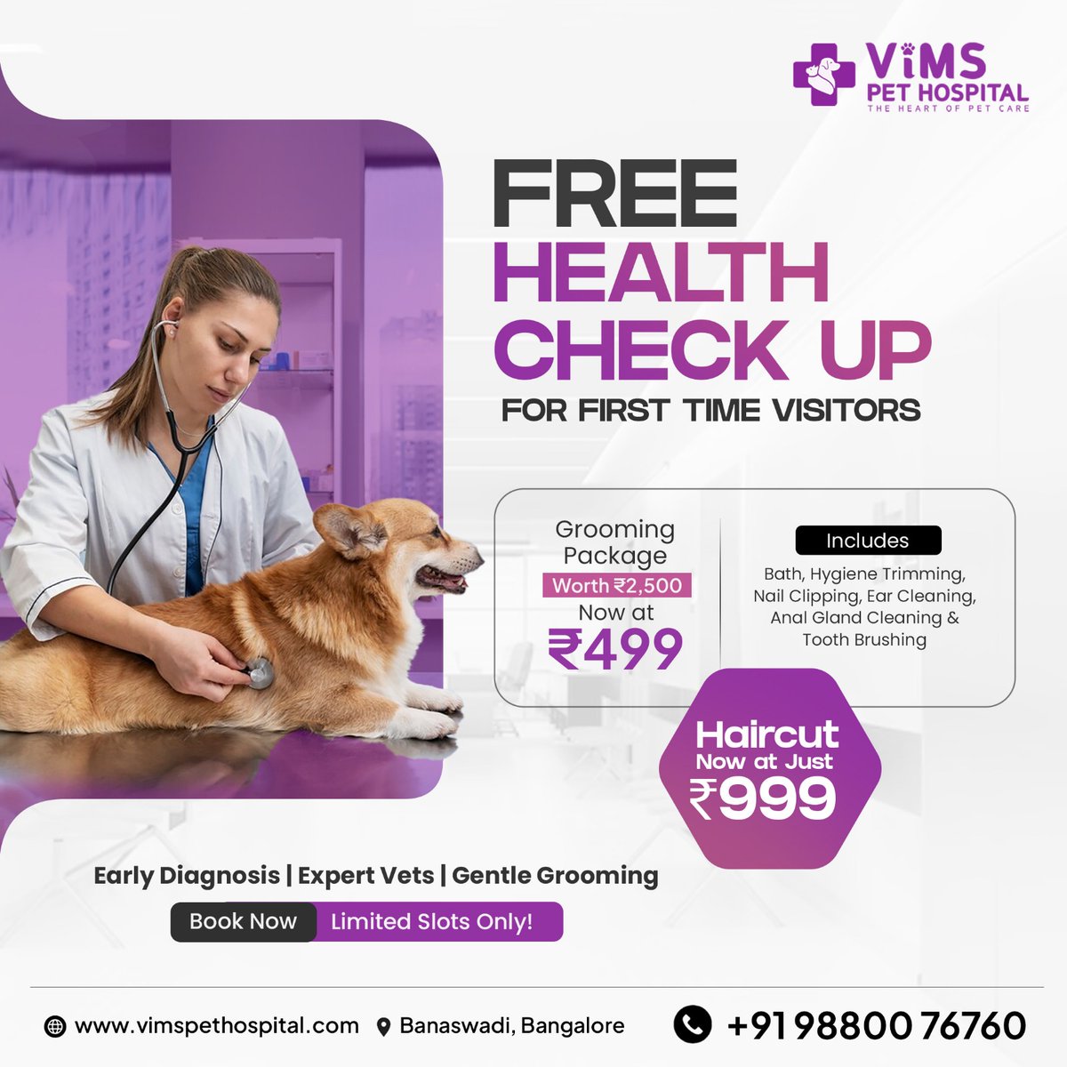 vimspethospital's tweet photo. First-Time Visitors, This One’s for You!
🎉 FREE Health Check-Up + Grooming Package at just ₹499!
�� Give your furry friend the love and care they deserve — from expert vets to gentle grooming, we’ve got it all covered.
📍 Banaswadi, Bangalore | 📞 +91 98800 76760 https://t.co/nqiG5Dndg0