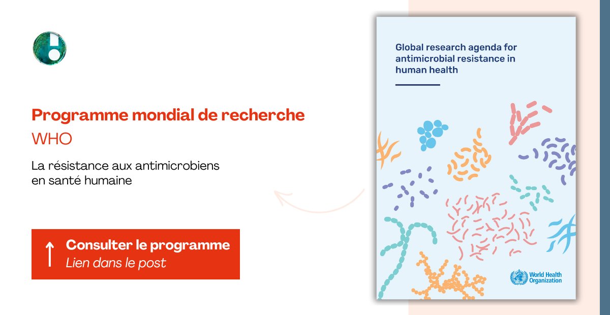 Interface nationale Antibiorésistance (@interfaceppra) on Twitter photo 📰 L'OMS (<a href="/WHO/">World Health Organization (WHO)</a>) a publié un programme afin de produire des données probantes pour lutter contre l'AMR en santé humaine d'ici 2030 et guider les politiques, la recherche et l’investissement dans un contexte de ressources limitées : ppr-antibioresistance.inserm.fr/fr/information… 📰 L'OMS (<a href="/WHO/">World Health Organization (WHO)</a>) a publié un programme afin de produire des données probantes pour lutter contre l'AMR en santé humaine d'ici 2030 et guider les politiques, la recherche et l’investissement dans un contexte de ressources limitées : ppr-antibioresistance.inserm.fr/fr/information…