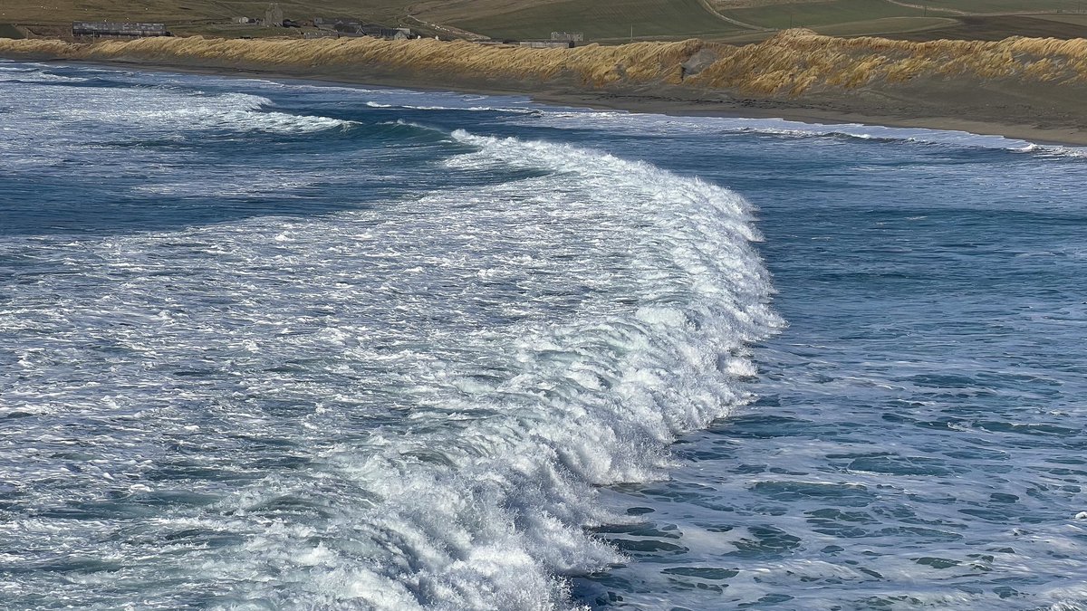 Ross Mackenzie tweet media