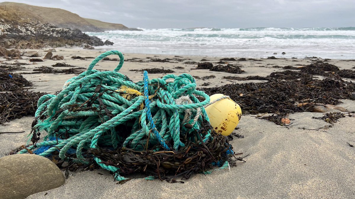 Ross Mackenzie tweet media