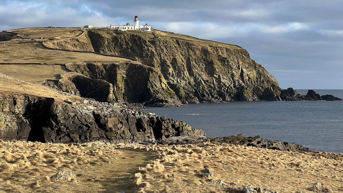 Ross Mackenzie tweet media