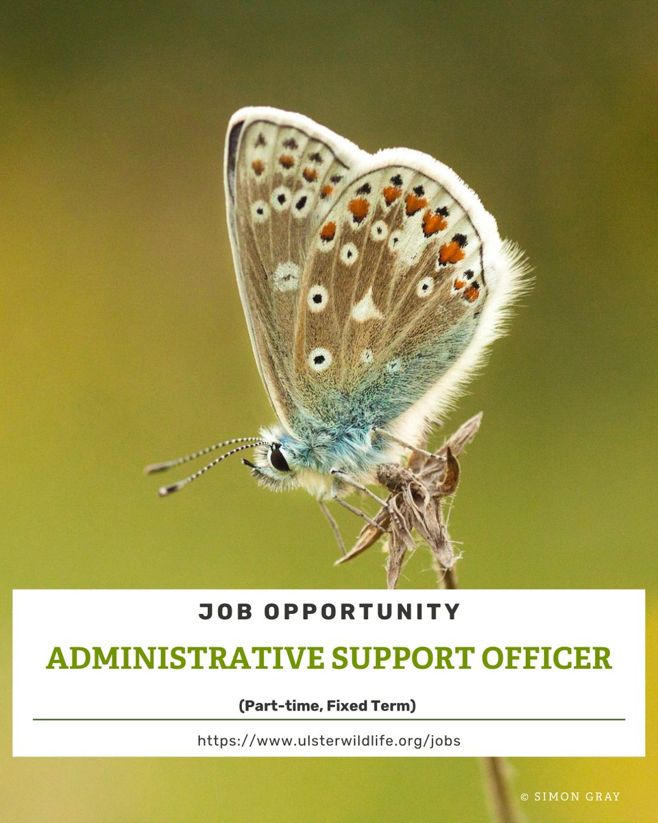Can you work to tight deadlines, assist with financial processing &amp; reporting, procurement and events support?
This post is supported by PEACEPLUS, a programme managed by the Special EU Programmes Body (SEUPB).

👉 loom.ly/ov9e_hs 
📆 Apply by 12 noon, 28 April