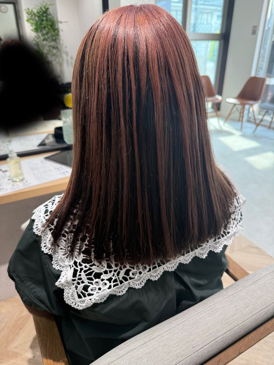 ꒰ঌ黒猫のタンゴ໒꒱ (@kuronoko_tango) / Posts / X