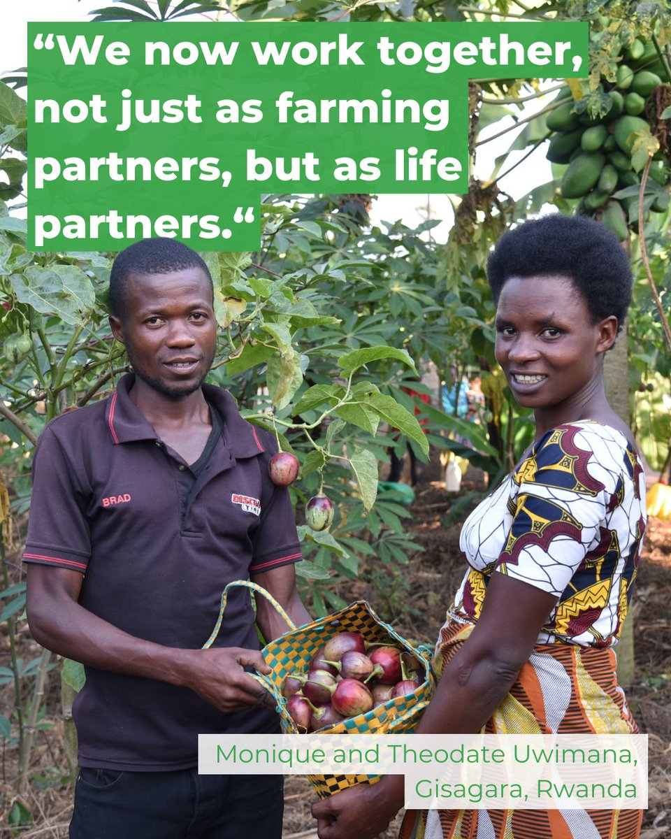 UN JP Rural Women’s Economic Empowerment (@jprwee) on Twitter photo Thanks to <a href="/JPRWEE/">UN JP Rural Women’s Economic Empowerment</a>, Monique & her husband Theodate in rural #Rwanda learned smart farming, saved more, and now plan their future together—as life partners, ensuring food security for their family.
africa.unwomen.org/en/from-strugg… Thanks to <a href="/JPRWEE/">UN JP Rural Women’s Economic Empowerment</a>, Monique & her husband Theodate in rural #Rwanda learned smart farming, saved more, and now plan their future together—as life partners, ensuring food security for their family.
africa.unwomen.org/en/from-strugg…
