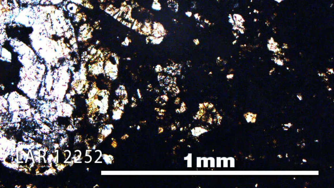 Mario Nawfal tweet media