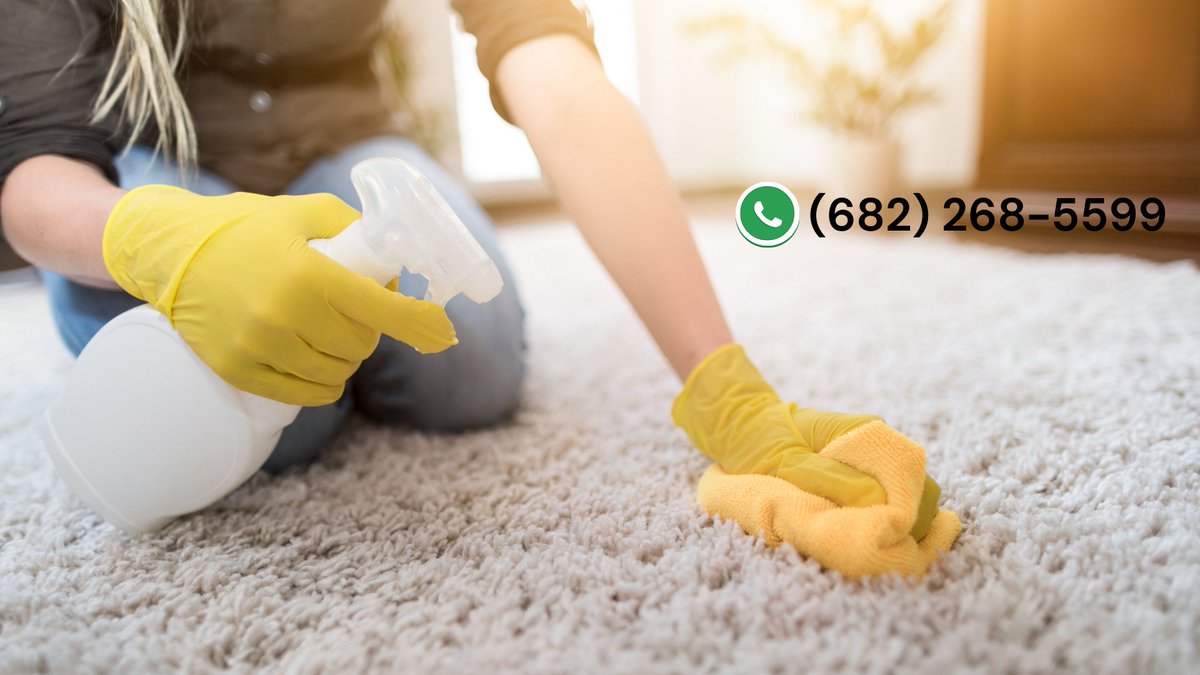Fort Worth Mold Experts (@Mold_Experts_tx) / Posts / X