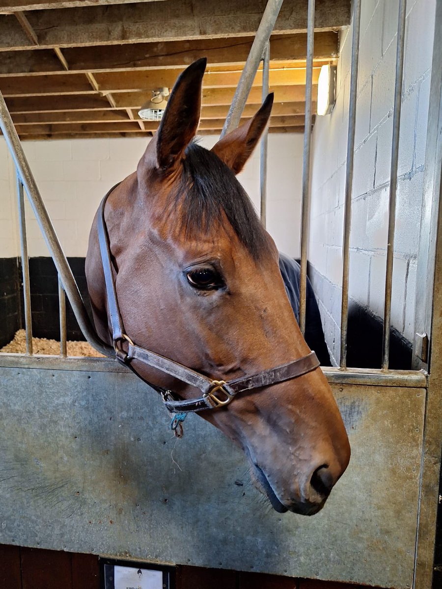 Crest Racing (@crestracing1) on Twitter photo Kind Of Kiss runs in <a href="/BetUKOfficial/">BetUK</a> all weather vase over 1m 2f <a href="/LingfieldPark/">Lingfield Park</a> today for <a href="/kpfracing/">Kevin Philippart de Foy Racing</a> <a href="/Luke_Morris88/">Luke Morris</a> takes the ride. Good luck to his owners & connections Kind Of Kiss runs in <a href="/BetUKOfficial/">BetUK</a> all weather vase over 1m 2f <a href="/LingfieldPark/">Lingfield Park</a> today for <a href="/kpfracing/">Kevin Philippart de Foy Racing</a> <a href="/Luke_Morris88/">Luke Morris</a> takes the ride. Good luck to his owners & connections