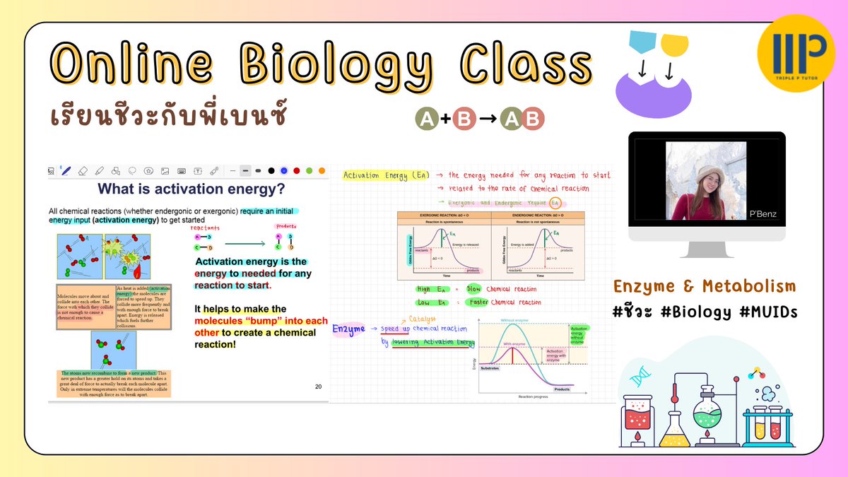 Bio4u_'s tweet photo. Online Biology class 🔬🧬 เรียนชีวะกับพี่เบนซ์ ✨ 

✅ คลาสเรียนเดี่ยว Biology Grade 10 สาธิตนานาชาติมหิดล (MUIDS)

✅ Enzymes &amp; Metabolism 🧪👩‍🔬

#Biology #Internationalprogram #MUIDS #ชีวะ #metabolism #enzymes #cellularrespiration #cell #anabolic #catabolic #สอนพิเศษชีวะ https://t.co/KqMkW29pLA