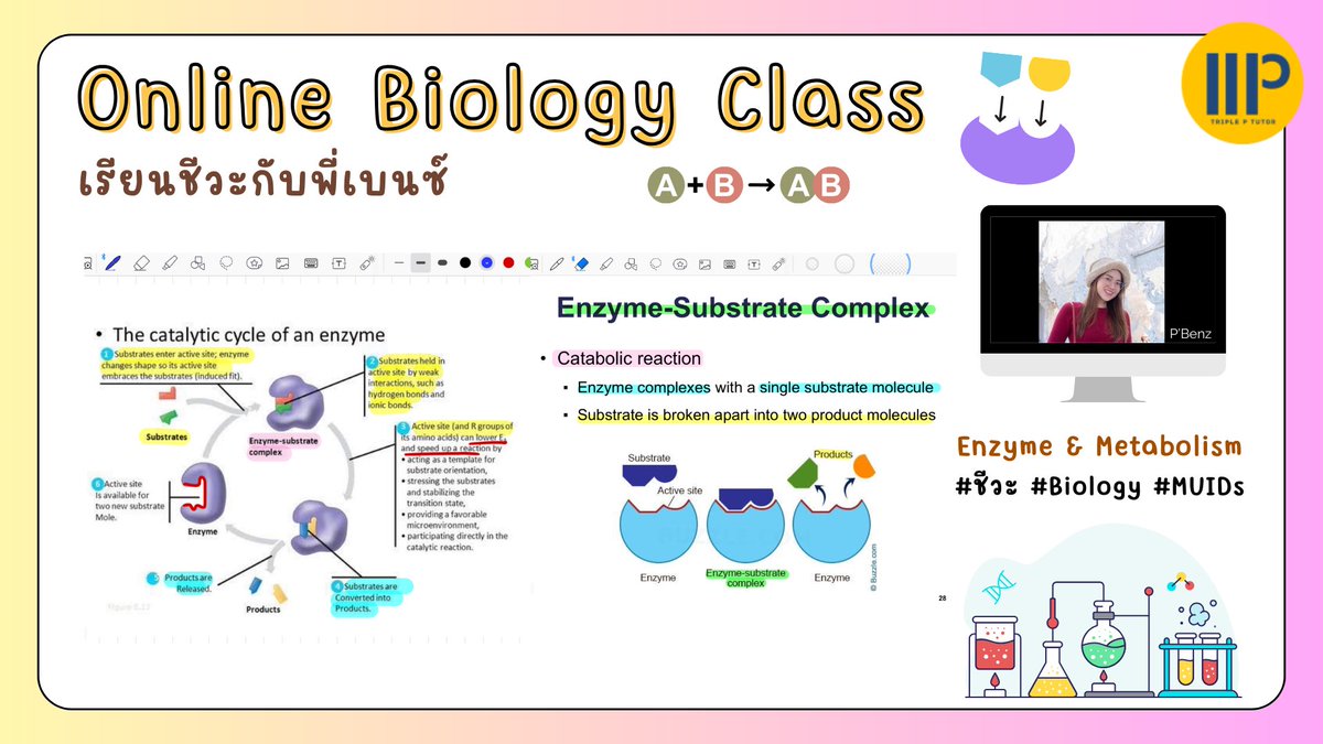 Bio4u_'s tweet photo. Online Biology class 🔬🧬 เรียนชีวะกับพี่เบนซ์ ✨ 

✅ คลาสเรียนเดี่ยว Biology Grade 10 สาธิตนานาชาติมหิดล (MUIDS)

✅ Enzymes &amp; Metabolism 🧪👩‍🔬

#Biology #Internationalprogram #MUIDS #ชีวะ #metabolism #enzymes #cellularrespiration #cell #anabolic #catabolic #สอนพิเศษชีวะ https://t.co/KqMkW29pLA