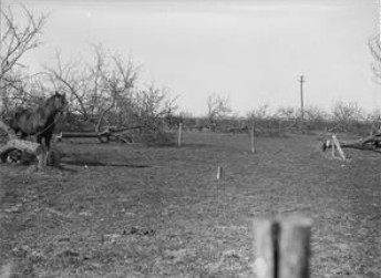 untoldthemuseum's tweet image. As we prepare to tuck into our chocolatey eggs and roasts, we just wanted to take a moment to reflect on a very different Easter, 108 years ago, when Battle Honour ARRAS 1917 was awarded to The Royal Irish Fusiliers. 
#SharedHeritage #thegreatwar #sacrifice #wewillrememberthem