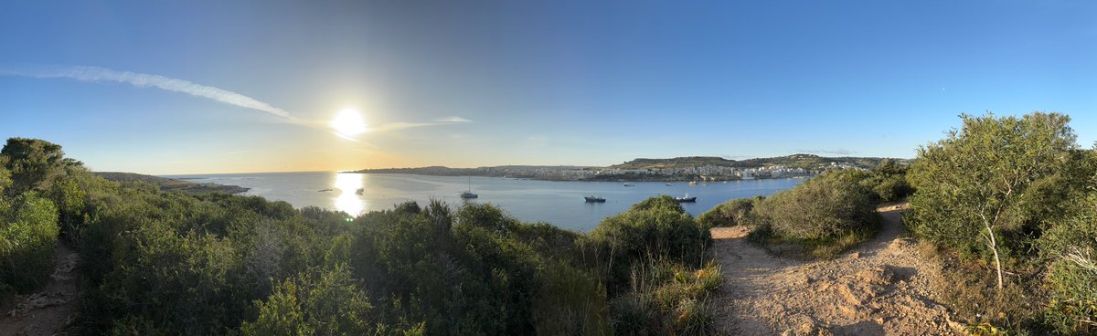 Diego Olmo Ferrer tweet media