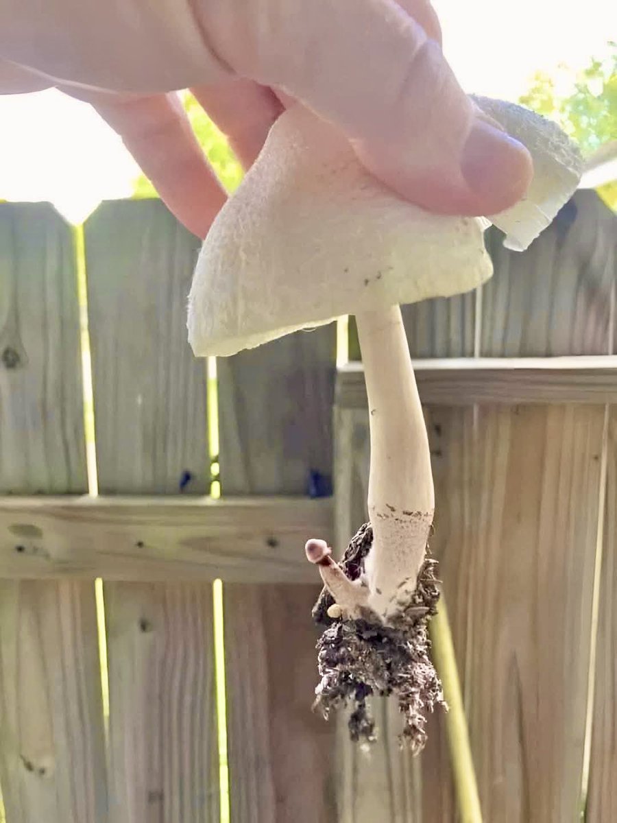 It’s a boy! 🥰🤩🤣🤣