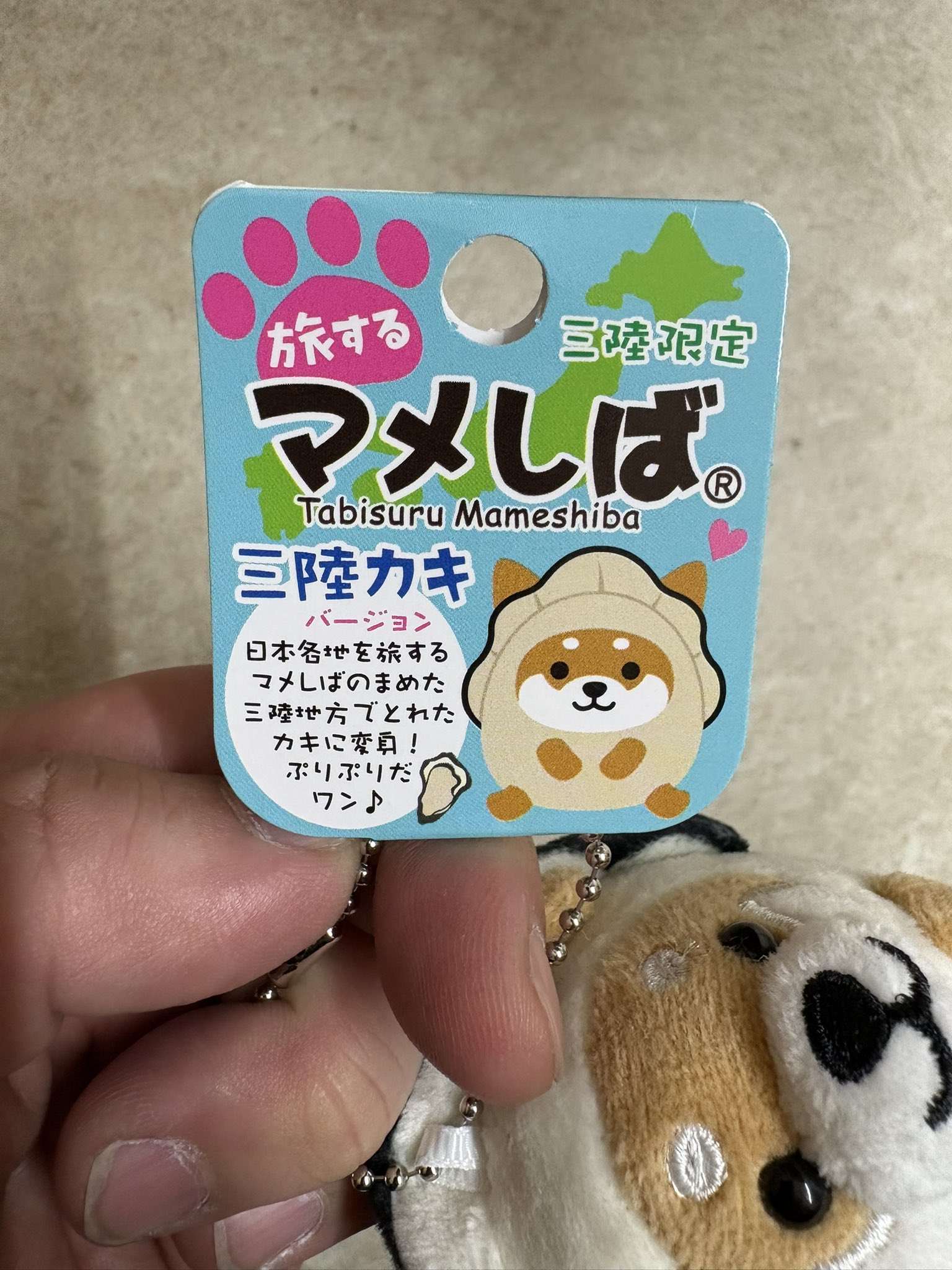 Amazon.co.jp: 広島限定 旅するマメしば タコ ひねくれたやつら