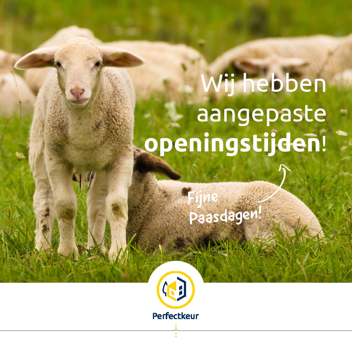Vrijdag 18 april zijn wij vanaf 16:30 uur gesloten i.v.m. Goede Vrijdag
Maandag 21 april zijn wij gesloten i.v.m. tweede paasdag.

Dinsdag 22 april staan wij weer voor u klaar!