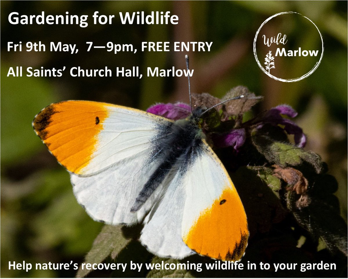 Join us to find out what we can all do to aid in nature’s recovery, using our green spaces 💚 

wildmarlow.org.uk/gardening-for-…