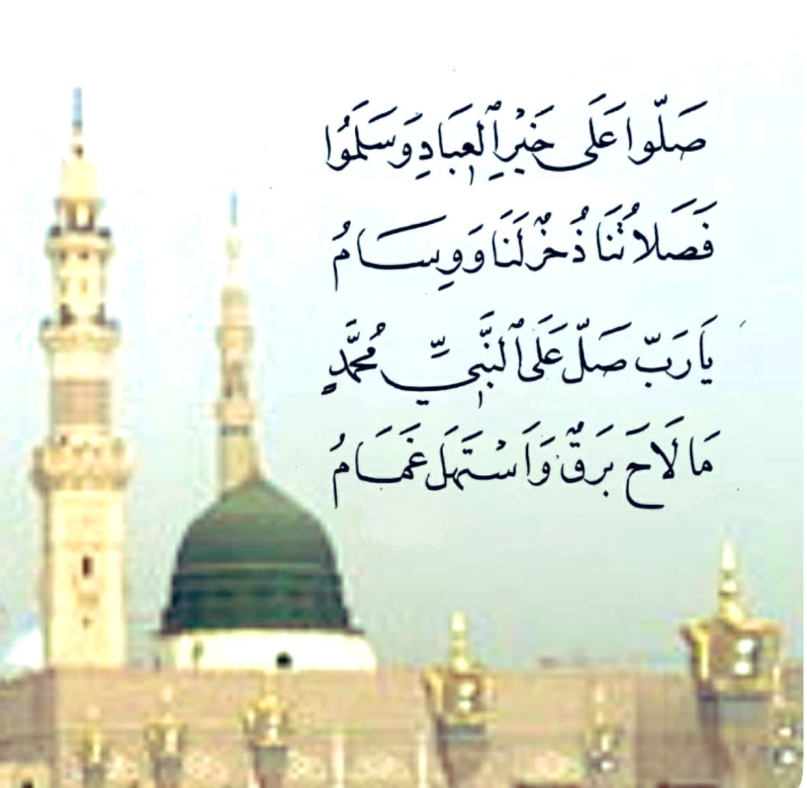 🌷 ﷺ
