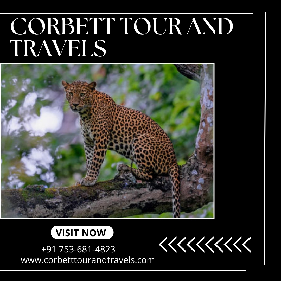Corbett Tour & Travels (@corbetttouruk) / Posts / X