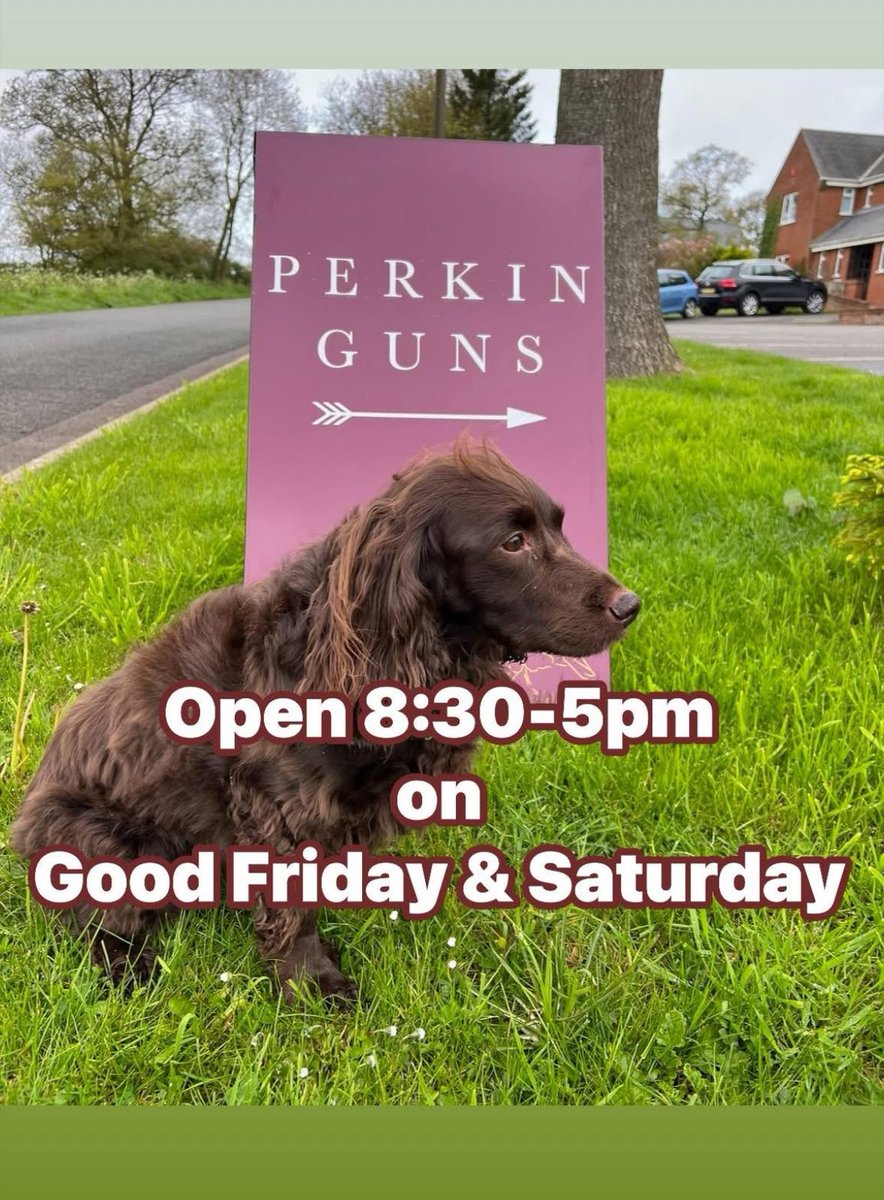Perkin Guns (@perkinguns) on Twitter photo 
