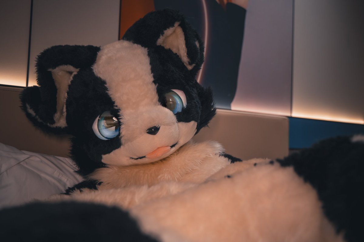 #FursuitFriday
久违