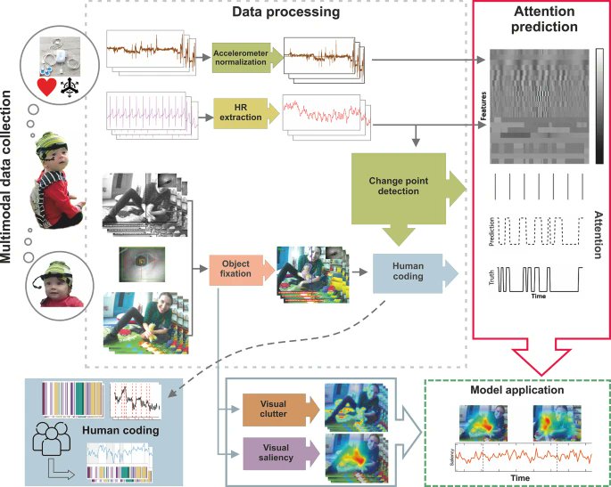 Elena Geangu tweet media