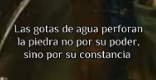 Literal, la constancia y la disiplina es lo unico que te lleva a conseguir tus metas o logros, no hace falta otra cosa