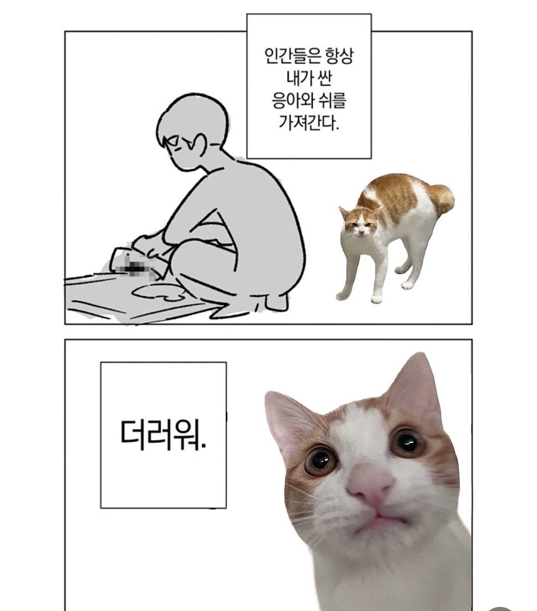 챱 (@lovx11_very) on Twitter photo 