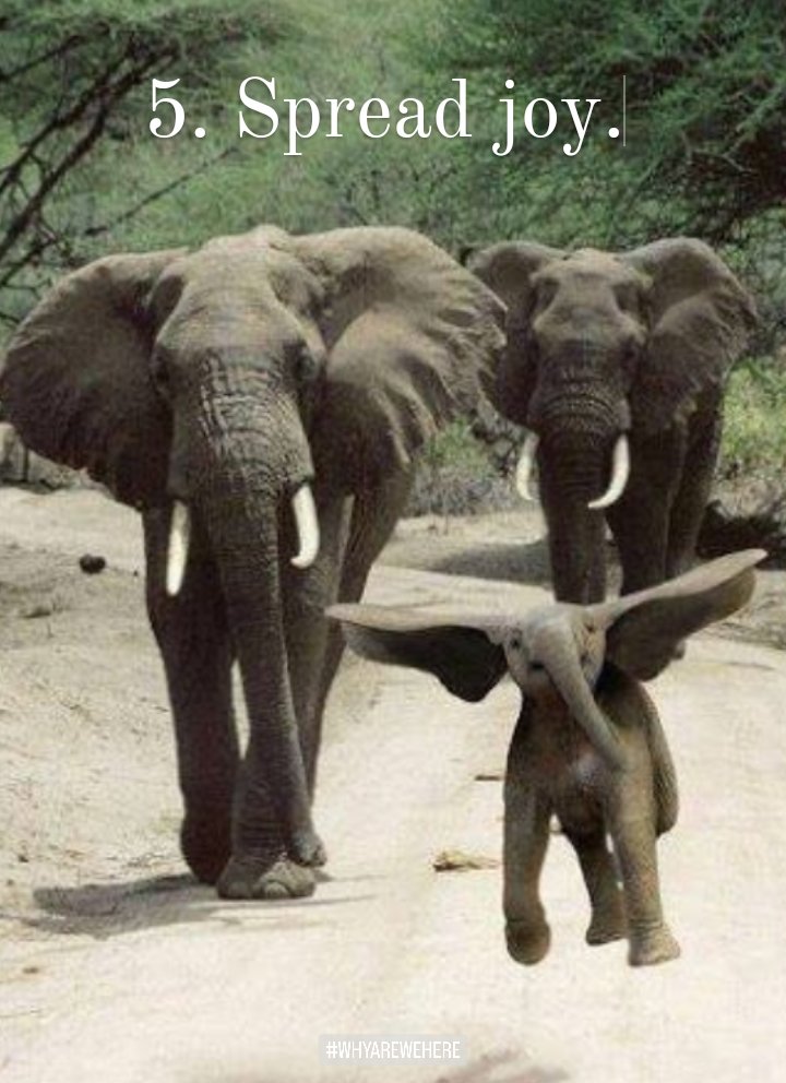 Anna_Christina_'s tweet photo. 5. Spread joy.
#whyarewehere https://t.co/VlN960qXUm