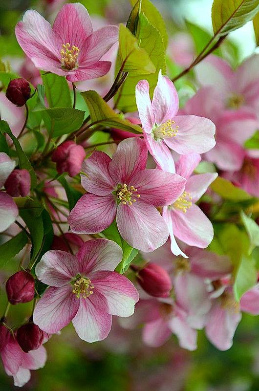 Ludmilaโ (@apixsun) on Twitter photo <a href="/CrisBlu1/">๐CrisBlu๐</a> Thank you very much for being with us here dear friend CrisBlu. Hope you will come back someday๐
Many blessings to you and may the Lord help you in all your ways.โค๏ธ <a href="/CrisBlu1/">๐CrisBlu๐</a> Thank you very much for being with us here dear friend CrisBlu. Hope you will come back someday๐
Many blessings to you and may the Lord help you in all your ways.โค๏ธ