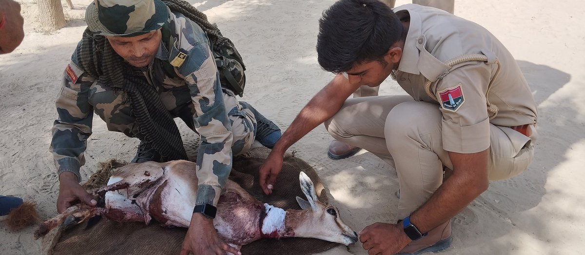 Rahul Deep Shiv tweet media