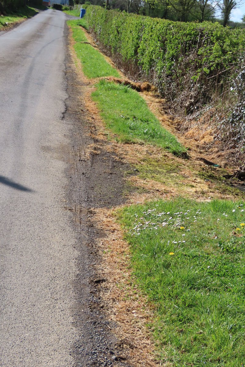 Donna Rainey tweet media