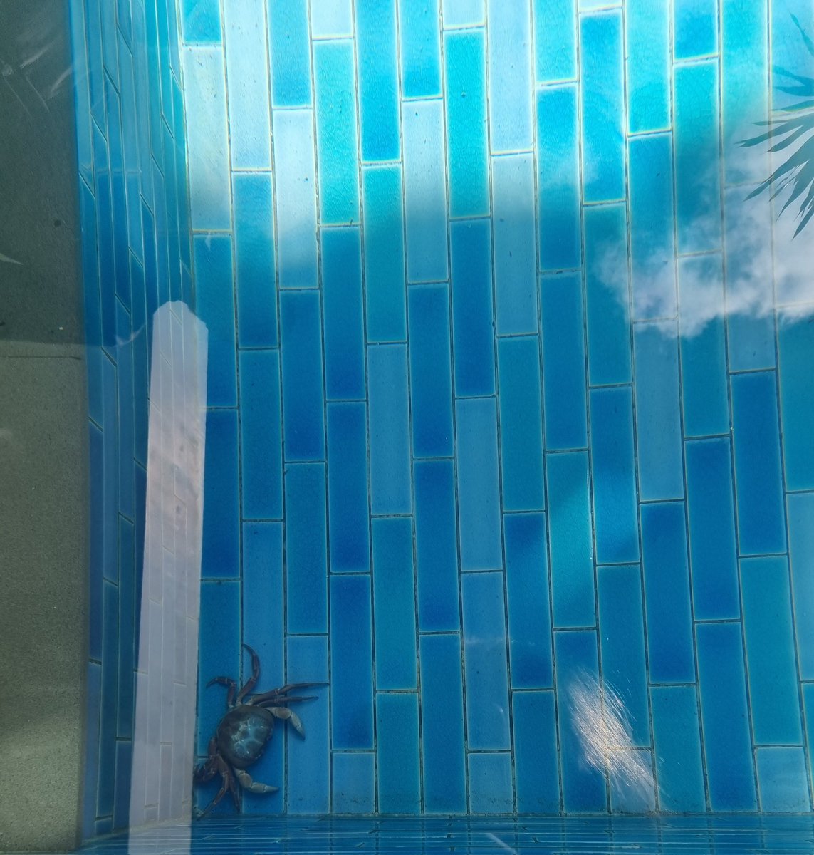 skye🧚🏻‍♀️ tweet media