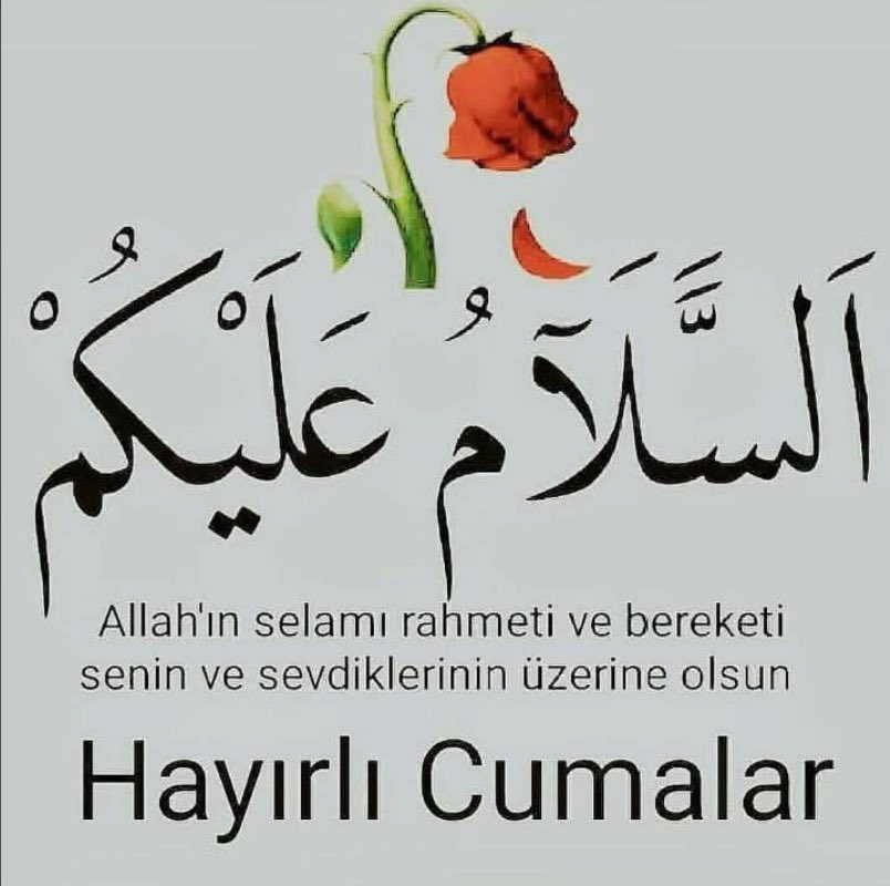 Ayhan Kufaci tweet media