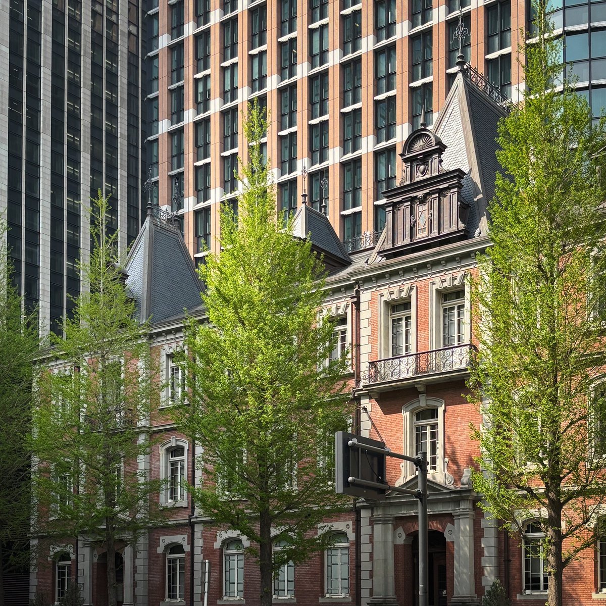 oolive1124's tweet image. 벌써부터 느껴지는 높은 습도가 두렵지만. 
예쁜 연두색.