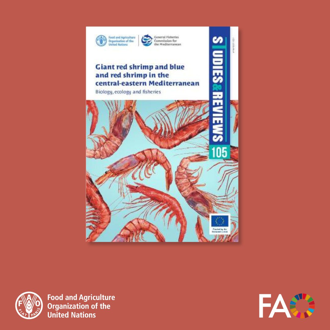 🦐 Giant red shrimp and blue and red shrimp are key deep-water fishery resources in the central-eastern Mediterranean.

A new <a href="/FAO/">Food and Agriculture Organization</a>-<a href="/UN_FAO_GFCM/">General Fisheries Commission for the Mediterranean</a> publication supports sustainable management with the latest data and research.

Find out more 👉 doi.org/10.4060/cd4916…
