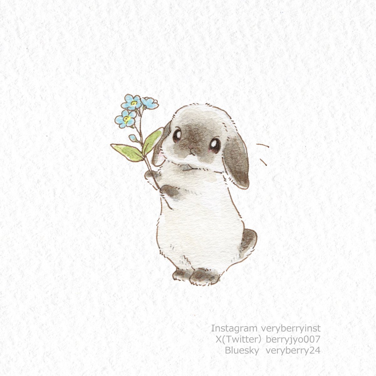 「勿忘草わすれないよずっとずっと忘れない 」|VeryBerry うさぎ星さん4/8-9出展のイラスト