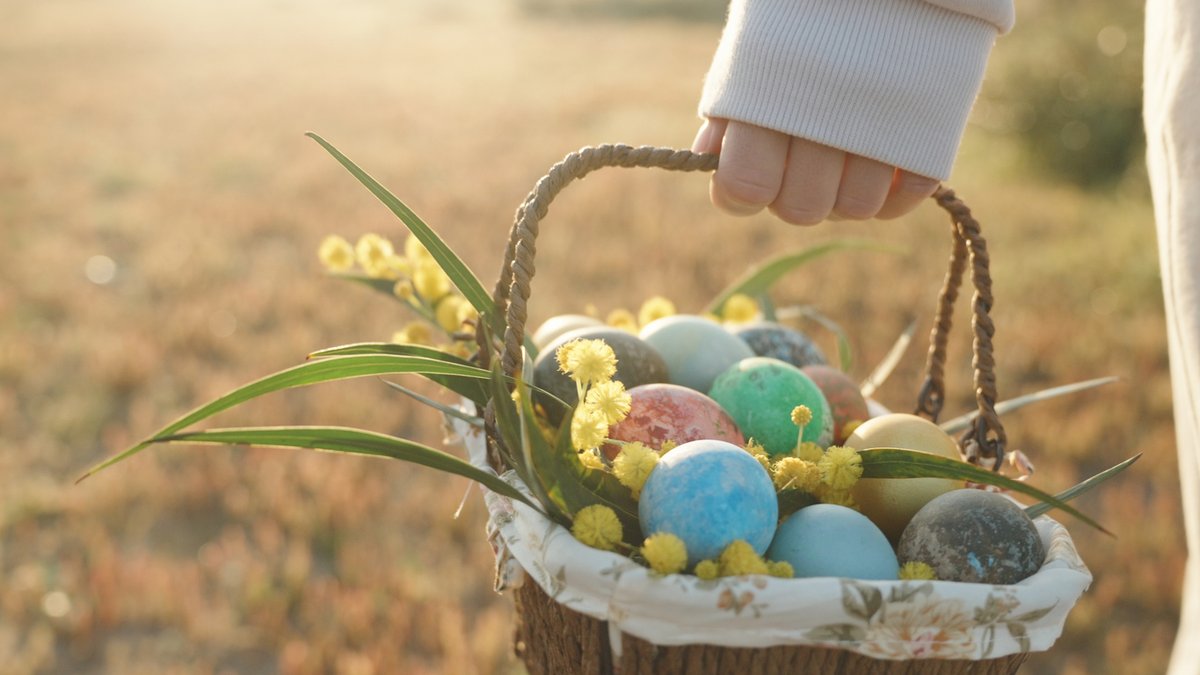 🌸🐰Happy Easter Sunday from all of us at Pure.Content! 🐣🌸

Wishing you a joyful day filled with love, laughter, and plenty of sweet treats! 

How are you celebrating? Share your Easter traditions in the comments! ⬇️

#HappyEaster #SpringCelebration #EasterJoy #PureContent