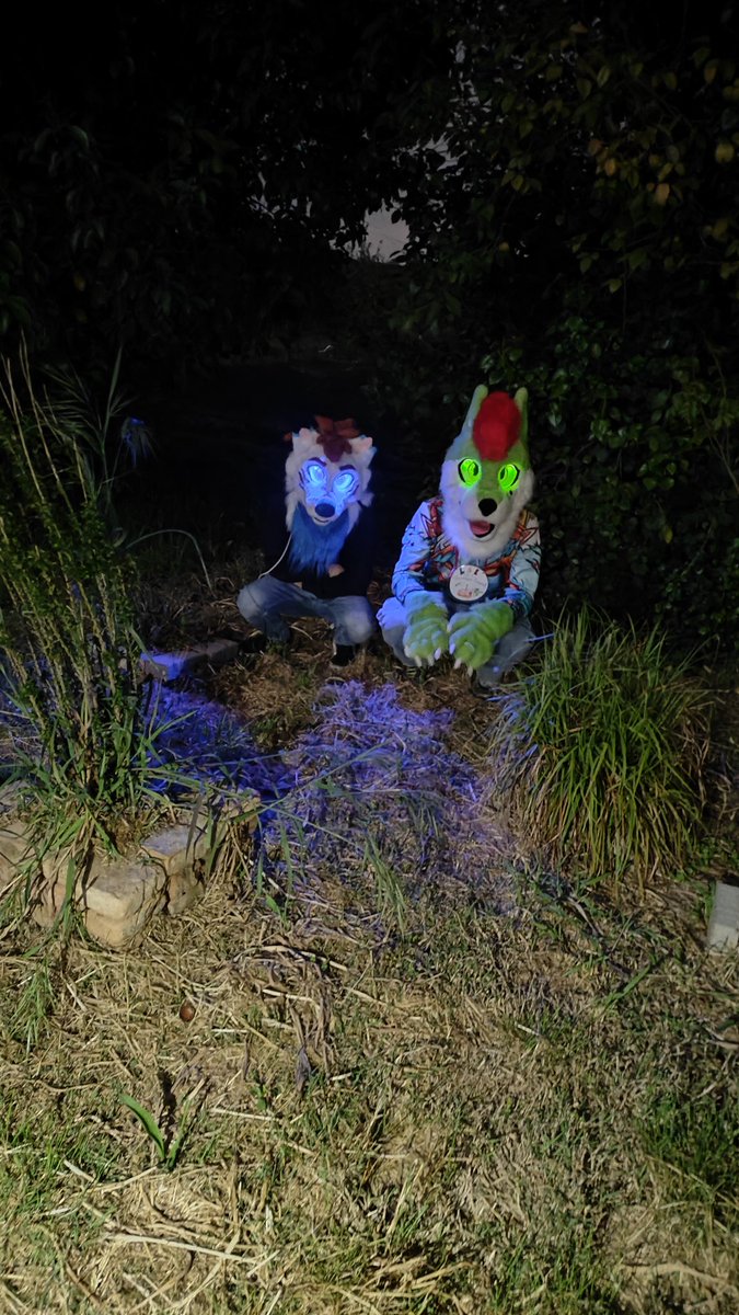 Lee_the_Drolf's tweet photo. BE CAREFUL FOR WHO'S LURKING IN THE DARK 👀☠️
An emotional birthday party with lots of laughs and photos in the dark.
💚 @Lee_the_Drolf
🤍 @serrsfox
📍 Primary, Ravenna
#furry #furryfandom #fursona #fursuit #fursuiter #fursuitfriday #leethedrolf #drolf #kitsune https://t.co/24OmfWVqgY