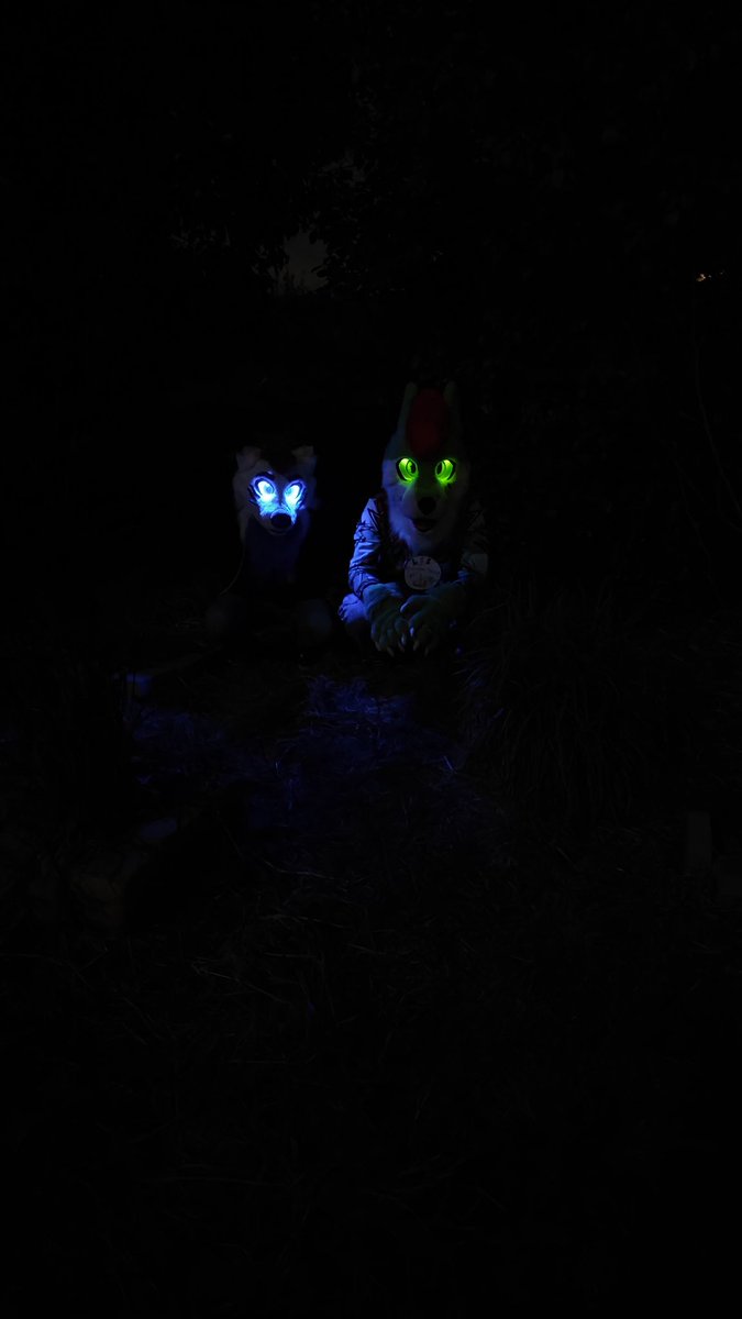 Lee_the_Drolf's tweet photo. BE CAREFUL FOR WHO'S LURKING IN THE DARK 👀☠️
An emotional birthday party with lots of laughs and photos in the dark.
💚 @Lee_the_Drolf
🤍 @serrsfox
📍 Primary, Ravenna
#furry #furryfandom #fursona #fursuit #fursuiter #fursuitfriday #leethedrolf #drolf #kitsune https://t.co/24OmfWVqgY