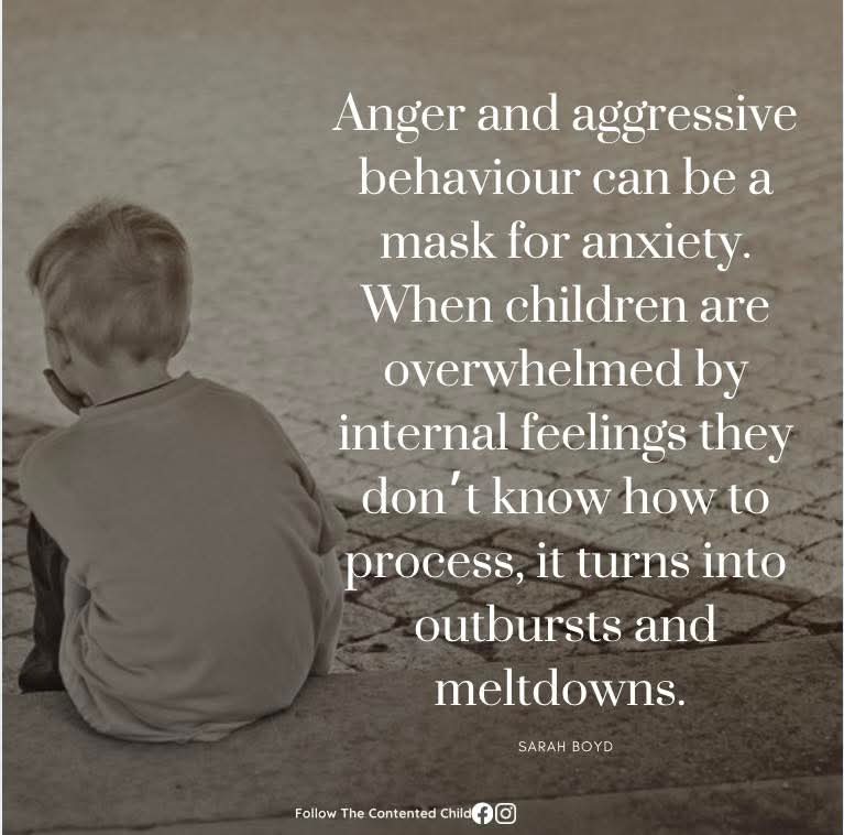 Gerry🧠🌱 tweet media