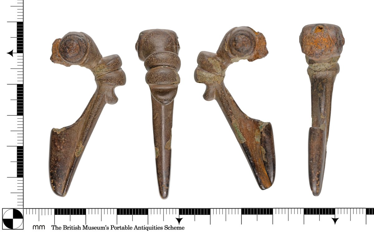 YORYM_FLA's tweet image. This is a Birdlip brooch, dating to the late Iron Age to Roman period. One of the most characteristic features of these brooches is the turned-up ‘beak’ below a bold transverse moulding on the bow, giving the impression of a bird’s head. #FindsFriday buff.ly/J9DT2Qy