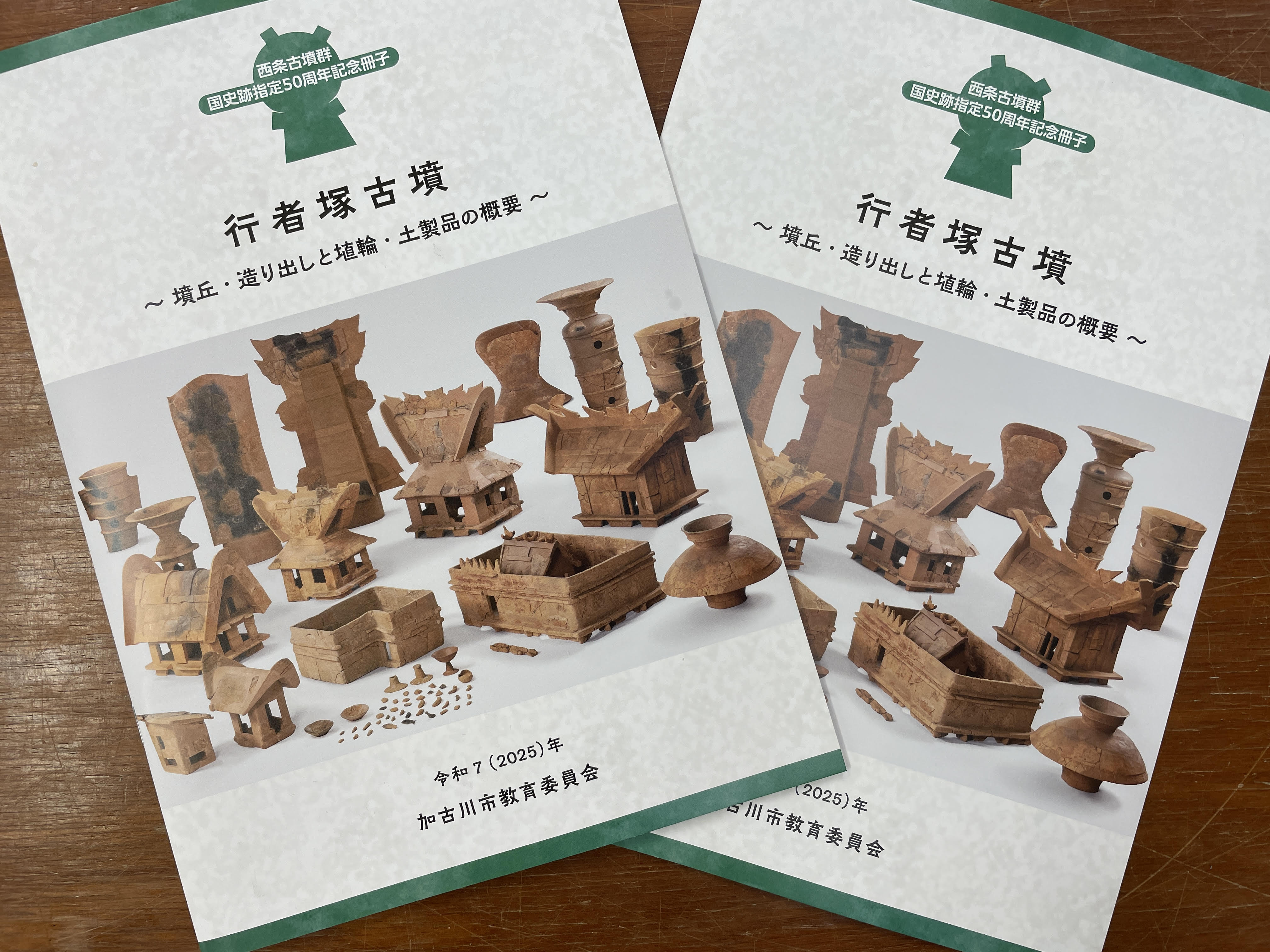 前段の司法」とその担い手をめぐる比較法史研究 (大阪大学法史学