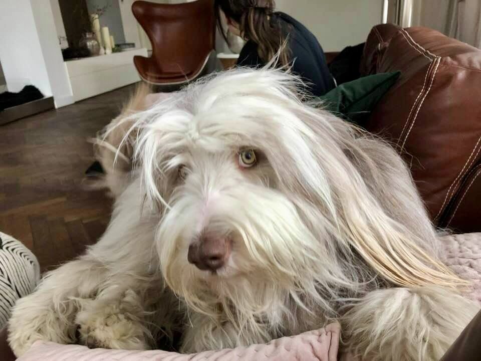 BCVaultOfficial's tweet image. 🧘‍♂️ It’s meditation time.
No charts. No stress. No FOMO.
Just inner peace…
knowing your #Bitcoin is patiently waiting,
safe and sound in your @BCVaultOfficial  wallet.

#CryptoZen #BCVault #HODLsecurely #BitcoinSafety