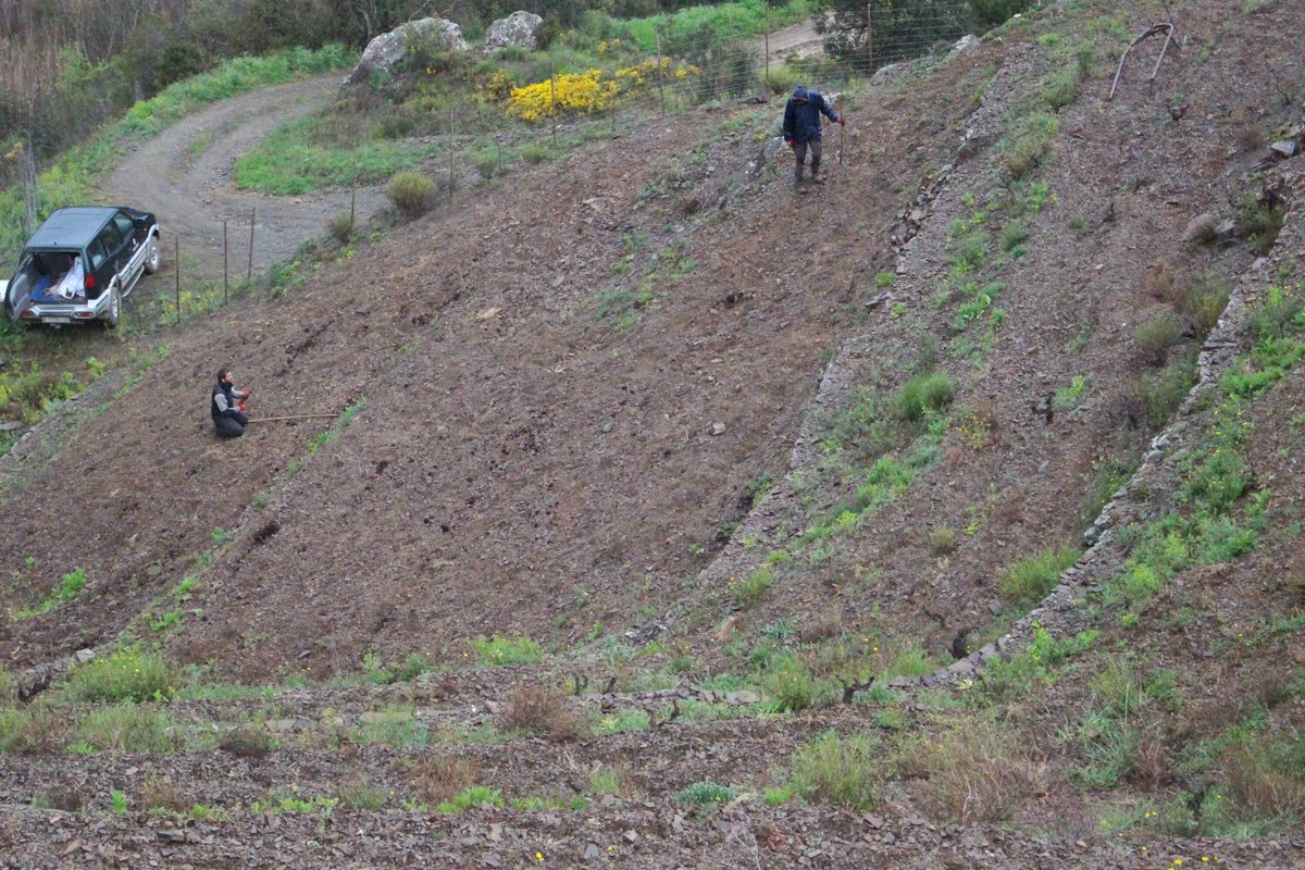 Mas Doix tweet media