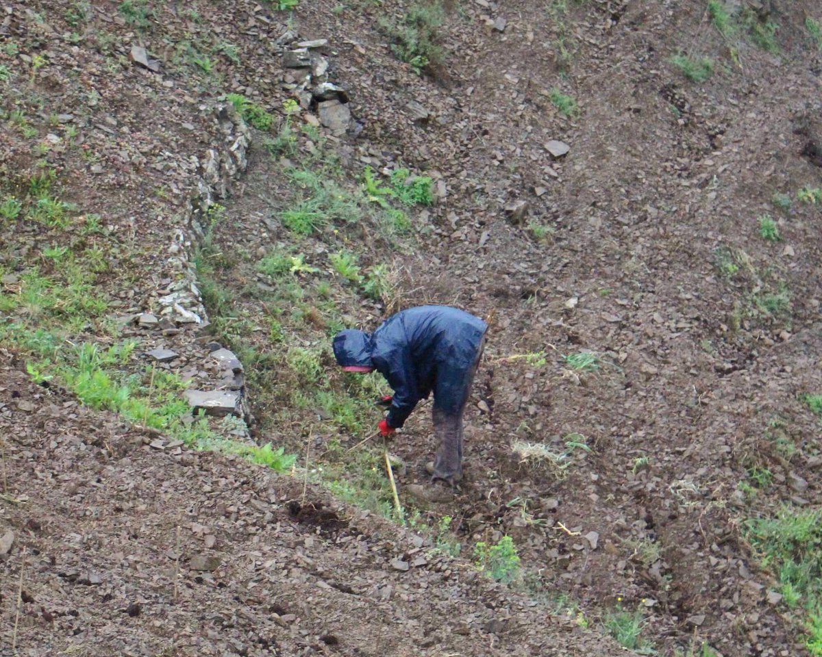 Mas Doix tweet media