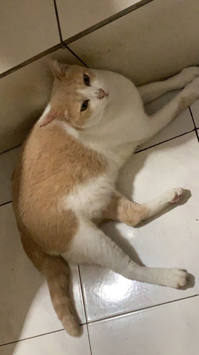 ℛatu ྀི tweet media