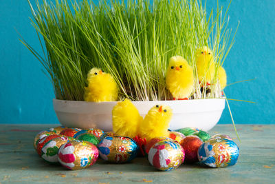 Suomen suurlähetystö toivottaa hyvää pääsiäistä!  Finlands ambassad önskar en glad påsk! The Embassy of Finland wishes you a happy Easter! 🐣  

Photo: image.finland.fi