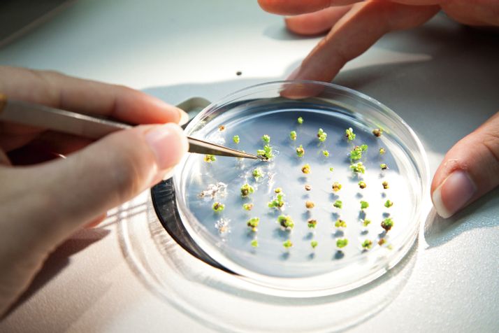 🎓 Fully Funded PhD Opportunity!
Crop Intellect Ltd &amp; University of Lincoln
 Robust AI for Climate-Resilient Agriculture
🌱 AI x Climate x Sustainability
📍 UK | 💰 EPSRC funded | 🗓️ Deadline: 30 April
Apply now 👉 [Link]
#PhD #AI #ClimateChange #AgriTech